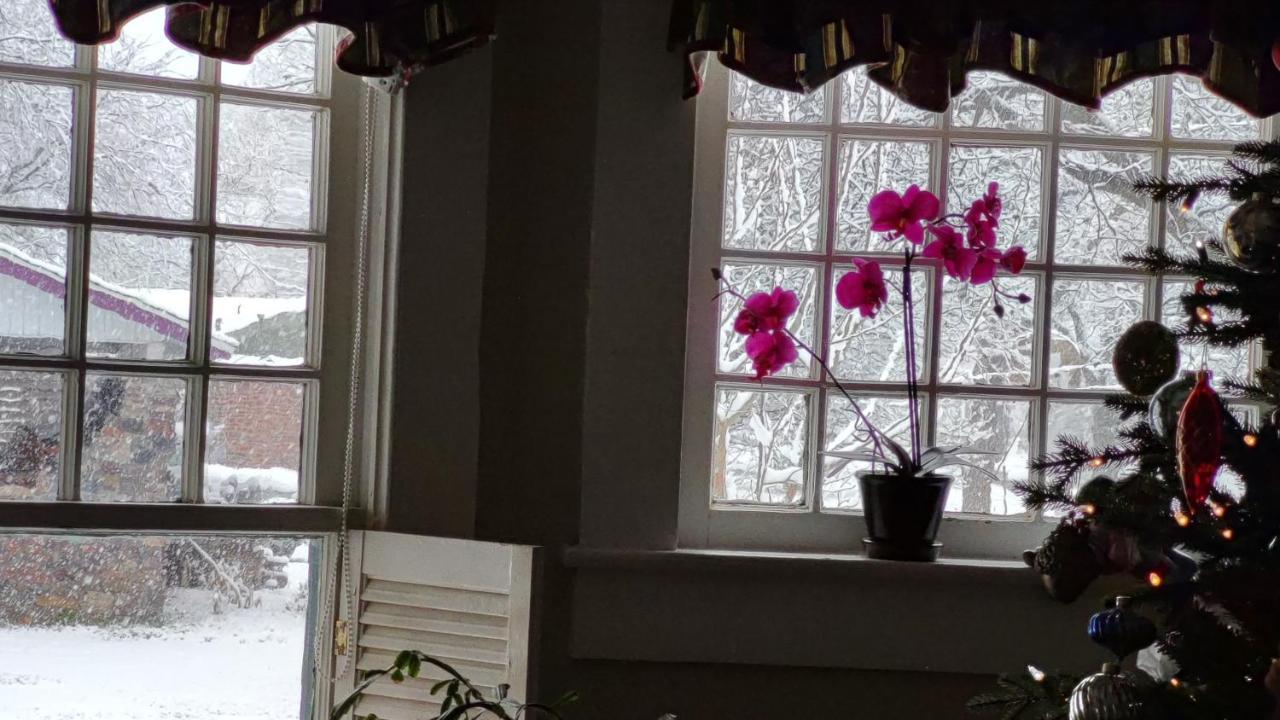 Granbury Gardens Bed And Breakfast Ngoại thất bức ảnh