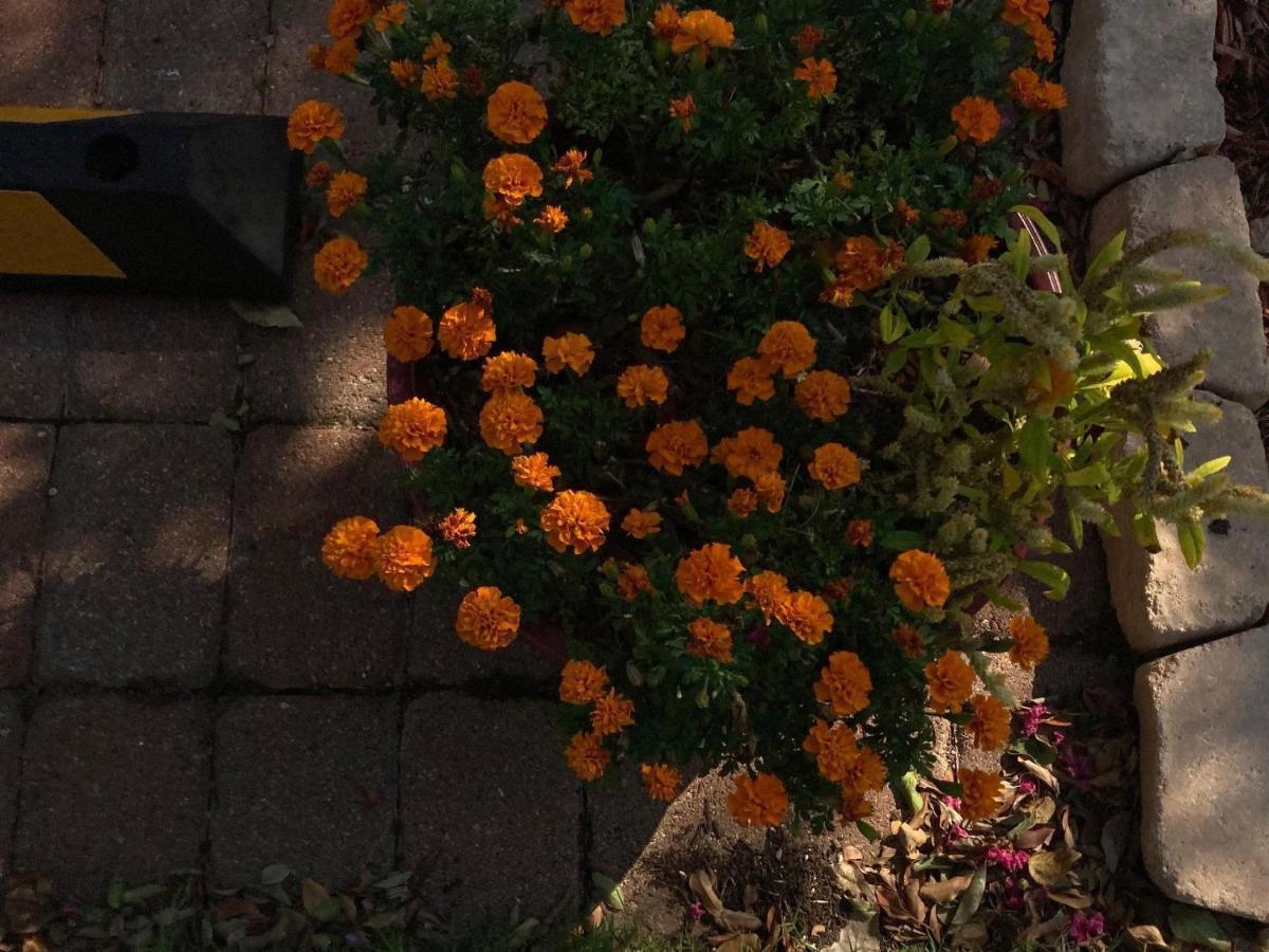 Granbury Gardens Bed And Breakfast Ngoại thất bức ảnh